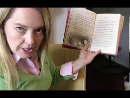 The Chicken Squad, Gimme Shelter by Doreen Cronin