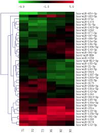 Close margins are neither negative nor positive Plos One Microrna Profiling Implies New Markers Of Chemoresistance Of Triple Negative Breast Cancer