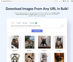 Esto significa que puedes verlo cuando quieras, mientras estás sin . How To Download Pinterest Images In High Resolution Quora