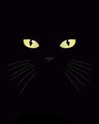 Dark Cat On Friday The 13th Black Cat Art Cat Art Cats