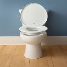 If you have problems with toilets moving and getting loose, then this is your answer. How To Remove A Bemis Toilet Seat Toilet Reviewer