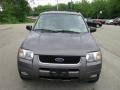 Image result for Mountain Shadow Gray 2003 Escape