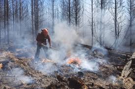 Fire officials in bc say the immediate danger posed by the christie mountain wildfire, near after a slow start to the province's fire season, firefighters in bc are battling dozens of wildfires that sparked. Canada Day Kicks Off Summer And High Risk For B C Wildfire Season Parksville Qualicum Beach News