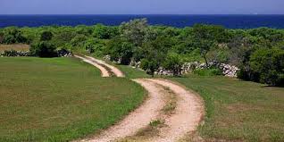Maybe you would like to learn more about one of these? Walking Hiking Rhode Island Outdoor Activities
