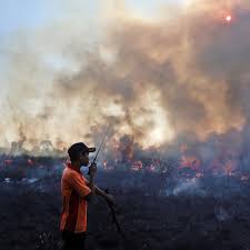 The numbers are expected to rise as the day progresses. Indonesia Dismisses Study Showing Forest Fire Haze Killed More Than 100 000 People Pollution The Guardian