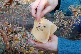 Gartenpaten ist eine kostenlose plattform die menschen mit und ohne garten verbindet. Oko Bezugsadressen Samen Und Pflanzen Fur Den Garten Nabu