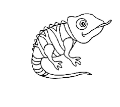 We did not find results for: Disney Tangled Pascal The Chameleon Coloring Pages Best Place To Color