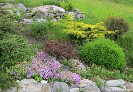 Hier finden sie die passenden arten. Steingarten Anlegen Neue Ideen Fur Ihren Garten Garten Hausxxl Garten Hausxxl