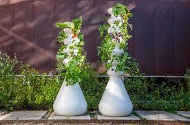 Maybe you would like to learn more about one of these? Zooey Deschanel S New Startup Makes A Smart Vegetable Garden That Fits In A Phone Booth Inc Com