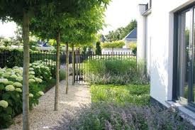 Beispiel Garten Villatuin Front Garten Pfad Der Kies Engen Pflanze Grenze Dach Baume Ei Beispiel Engen Front Garte Garten Garten Ideen Garten Terrasse