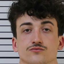 Man accused of stealing vehicle at gunpoint in Carter County charged