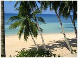 It is also the nam. Durhan White Beach Resort In Tabuelan Cebu