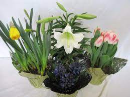 Maybe you would like to learn more about one of these? Bouquets By Christine Home Facebook