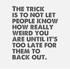 My Master Plan To Gain A Social Life Funniest Quotes Ever Personality Quotes Dancer Quotes