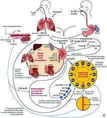 aung vital energetic alignment the answer to post