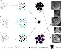 Genealogy for vasile rusu (b. Fabrication And Applications Of Bioactive Chitosan Based Organic Inorganic Hybrid Materials A Review Sciencedirect