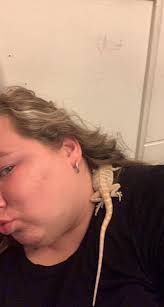 Bearded Dragon Poop Accidents and Habits