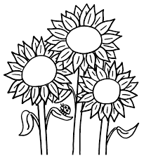 Facebook is showing information to help you better understand the purpose of a page. Leuk Voor Kids Zonnebloemen Met Een Lieveheersbeestje Zomer Kleurplaten Zonnebloem Tekening Zonnebloemen