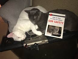 When you order $25.00 of eligible items sold or fulfilled by amazon. Rule 1 Keep Your Beans Off The Bang Switch Until You Re Ready To Make The Wet Food Guns