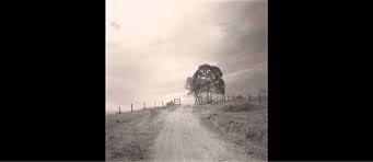 Give Me A Reason To Love You Portishead Lyrics Here With Me Susie Suh X Robot Koch Love This Song Can T Wait Till It S Released Beautiful Songs Music Express Suh