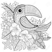 Coloring pages orchid coloring page. Coloring Book For Adults Toucan Among Tropical Leaves And Flowers Royalty Free Cliparts Vectors And Stock Illustration Image 144364187