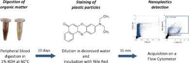 Image result for Nile Green 1950 Nash