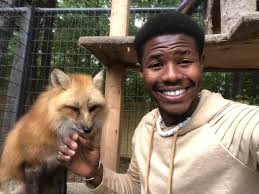 Derrick Williamson Website