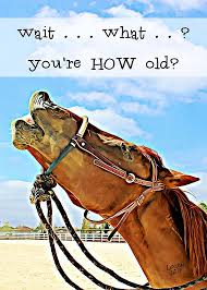 We did not find results for: Have A Horse Laugh With This Fun Birthday Card Great For Horse Lovers Or Anyone Who Likes To A Birthday Cards For Friends Happy Birthday Horse Birthday Humor