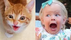 For anyone who may be hesitant