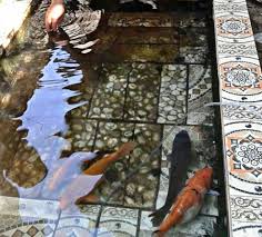 Ada berbagai jenis kolam ikan yang bisa kamu gunakan, seperti kolam tanah, kolam terpal, kolam beton dan masih banyak lagi. Cara Budidaya Ikan Mas Lengkap Khusus Pemula Hobinatang