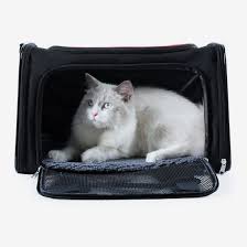 Breathable backpack for larger big boned cats. 11 Best Cat Carriers 2020 The Strategist New York Magazine
