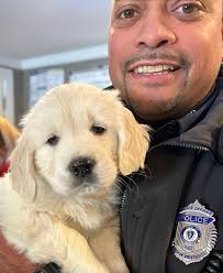 The results are in! We would like to officially introduce you to Bean, our  new community resource dog. 👋 🐶 “The comfort dog will serve as an  additional resource for students experiencing