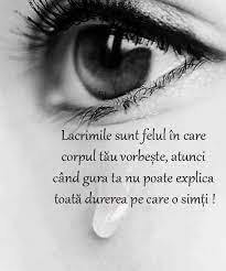 We did not find results for: 64 Citate Ideas In 2021 Citate Citate InspiraÈ›ionale Citate MotivaÈ›ionale