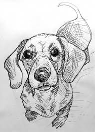 Draw a big circle and two small overlapping circles at the bottom. Art Blog Animal Sketches Animal Drawings Sketches Dachshund Art