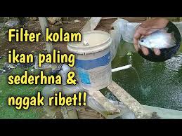 Karena jika menggunakan sistem filter biasa, benih. Cara Membuat Filter Kolam Ikan Bahan Sederhana Dan Murah Litetube