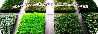 kahramanmaras hali saha suni cim suni cim hali saha cim