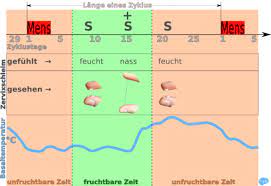 Aber auch da machen diese tests keinen sinn: Wann Bin Ich Fruchtbar