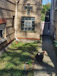 Saint Hedwig's PN Catholic Church /Iglesia Catolica de Santa Eduvigis...