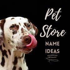 Our mission at best pets, ltd. 50 Pet Store Names Toughnickel