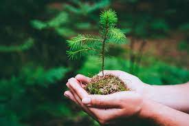 What Are Five Climate Ideas That Improve Global Health?
