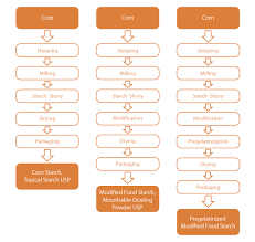 Starch Production Flow Chart Nutraceutical Markets