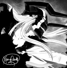 Vasto Lorde Ichigo | Wiki | Bleach Amino