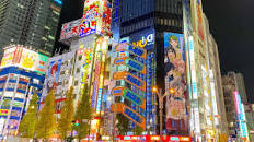 Image result for Akihabara