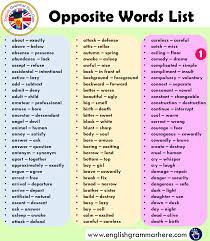 (of parts of a flower) arranged opposite the middle of another part. 750 Opposite Words List In English English Grammar Here