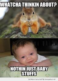 Updated daily for more funny memes check our homepage. Funniest Baby Pictures With Quotes Quotesgram
