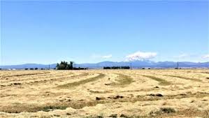 Check spelling or type a new query. 90 Of The World S Supply Of Kentucky Bluegrass Is Grown In The Pacific Northwest