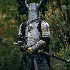 Image result for Knights Armor 2013 GX