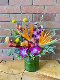 With a broad and diverse mix of restaurants, bars & cafes, shops, salons and commercial businesses on the boulevard, the expanse of las olas is from downtown fort lauderdale, to the beach at a1a. Tropical Splash In Venice Fl Venetian Flowers