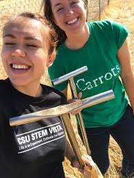 Lisa Rentz's Instagram, Twitter & Facebook