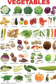 23 Things You Probably Didn T Know About The Plant Kingdom Learn English English Vocabulary English Vocab
